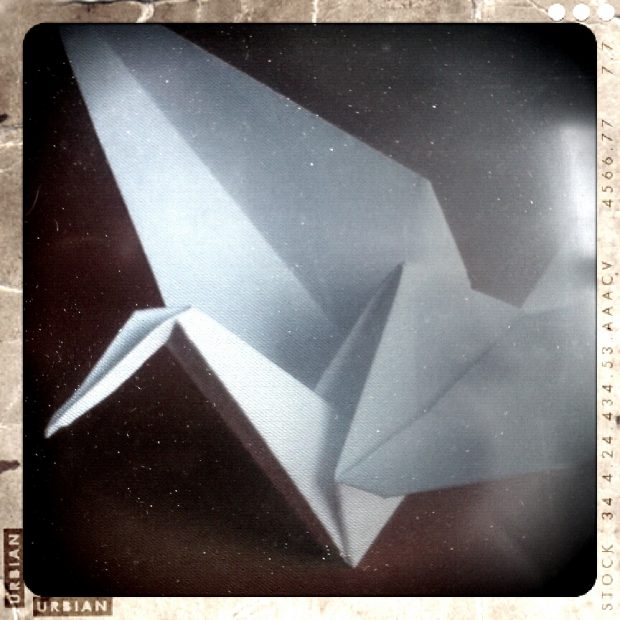 Origami. Evelinos Kvartūnaitės nuotr.