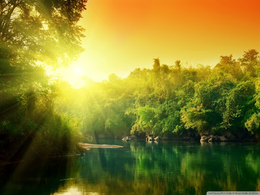 http://wallpaperswide.com/lush_green_forest_river_at_sunrise-wallpapers.html