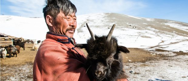 https://ec.europa.eu/echo/where/asia-and-pacific/mongolia_en