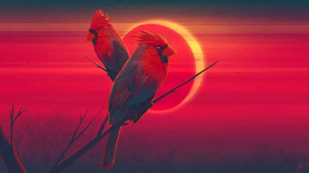 https://wallpaperaccess.com/red-bird