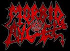 „Morbid Angel“ ruošiasi išjudinti lietuvišką žiemą (video)
