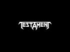Vasarą Lietuvoje išsiverš muzikinis ugnikalnis vardu „Testament“ (video)