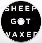 CD review. SHEEP GOT WAXED. Jazz from sheephell