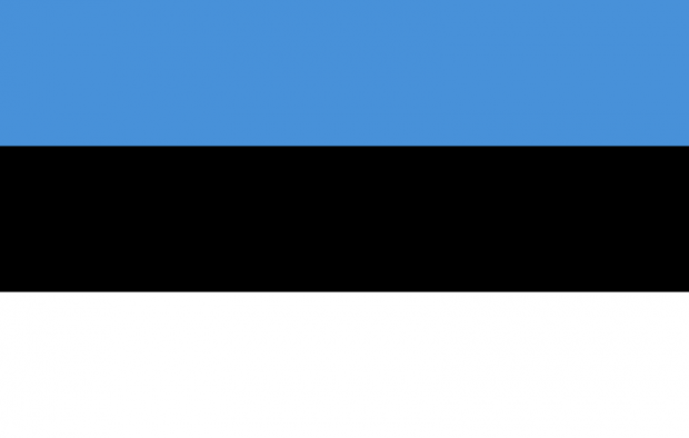 Estijos vėliava. Šaltinis - Wikipedia.org.