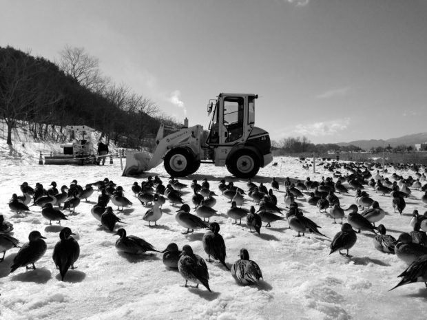 Be pavadinimo. Takanobu Hoshino nuotr.