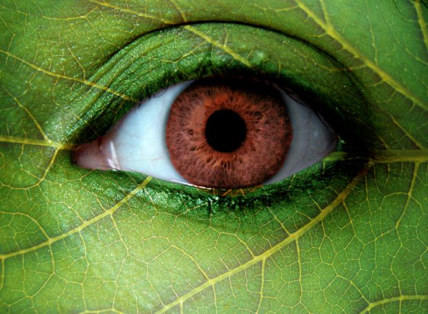 Gamtos Akis. http://fc06.deviantart.net/fs46/f/2009/202/0/4/nature_eye_by_Causus.jpg