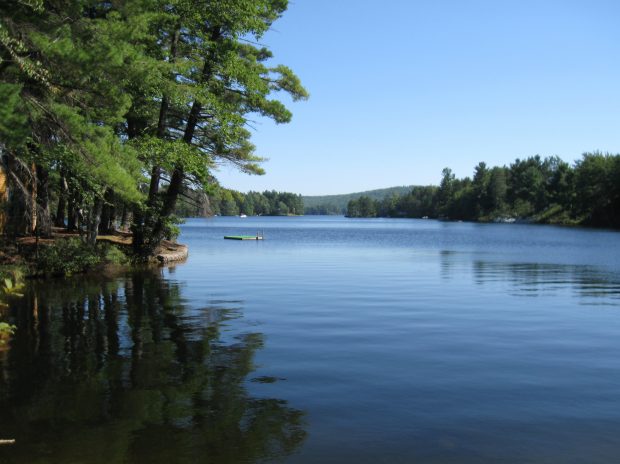 http://upload.wikimedia.org/wikipedia/commons/2/24/Pine_River_Pond.jpg