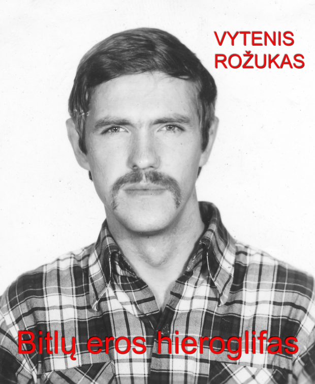 Bitlų eros hieroglifas. Romanas