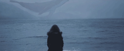 http://31.media.tumblr.com/b991fb385efc14f8ca858ff6abd39f4a/tumblr_nrjyln8DRW1tjrwu3o1_540.gif