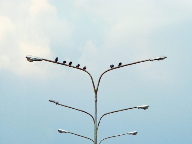 https://unsplash.com/photos/WXJTpCC_KpA