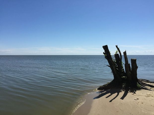 https://www.wallpaperflare.com/nida-lithuania-water-ocean-beach-summer-nature-glance-wallpaper-zqjpp