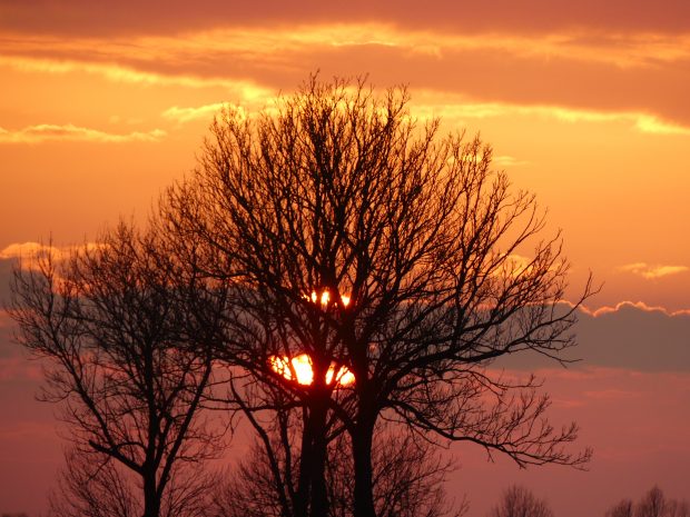 Onutės Gaidamavičiūtės fotografija