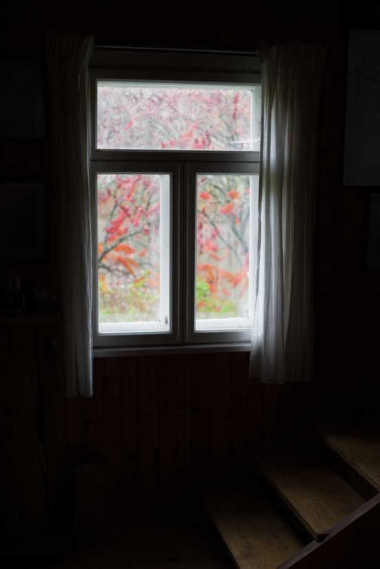 Ievos Šidlaitės fotografija