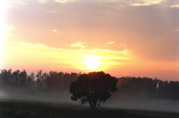 Onutės Gaidamavičiūtės fotografija