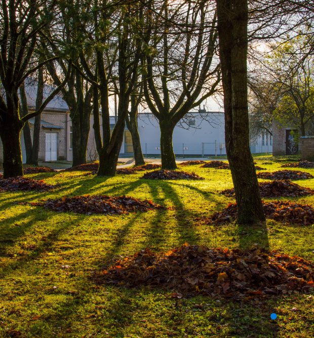 Algirdo Markevičiaus fotografija