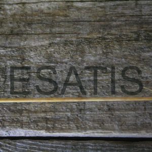 ESATIS: Muzika esimui