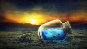 https://www.wallpaperflare.com/surreal-4k-sunset-underwater-sand-fishes-crab-bottle-wallpaper-bxxpg