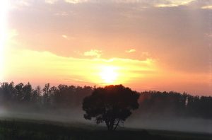 Onutės Gaidamavičiūtės fotografija