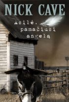 Ar asilė gali pamatyti angelą?: Asilė, pamačiusi angelą. Romanas