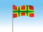 Vienas iš Algimanto Lapienio siūlomų naujos Lietuvos Respublikos valstybinės vėliavos variantų. Algimanto Lapienio pieš.