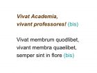 Autodafė. Edukacinis smurtas ir neįvertintas ruduo