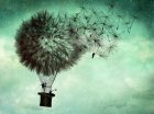 Catrin Welz-Stein pieš.