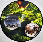 NAUJOJE „KARDIOFONO“ VINILO PLOKŠTELĖJE – LEGENDINYS KŪRINYS IR NAUJA DAINA