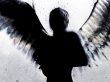 https://www.wallpaperflare.com/silhouette-artwork-of-angel-wallpaper-151617
