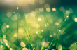 https://unsplash.com/photos/6XUA5KQ9-1k