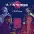 Into the Moonlight