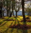 Algirdo Markevičiaus fotografija
